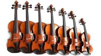 Fiddleheads Violin Studio image 8